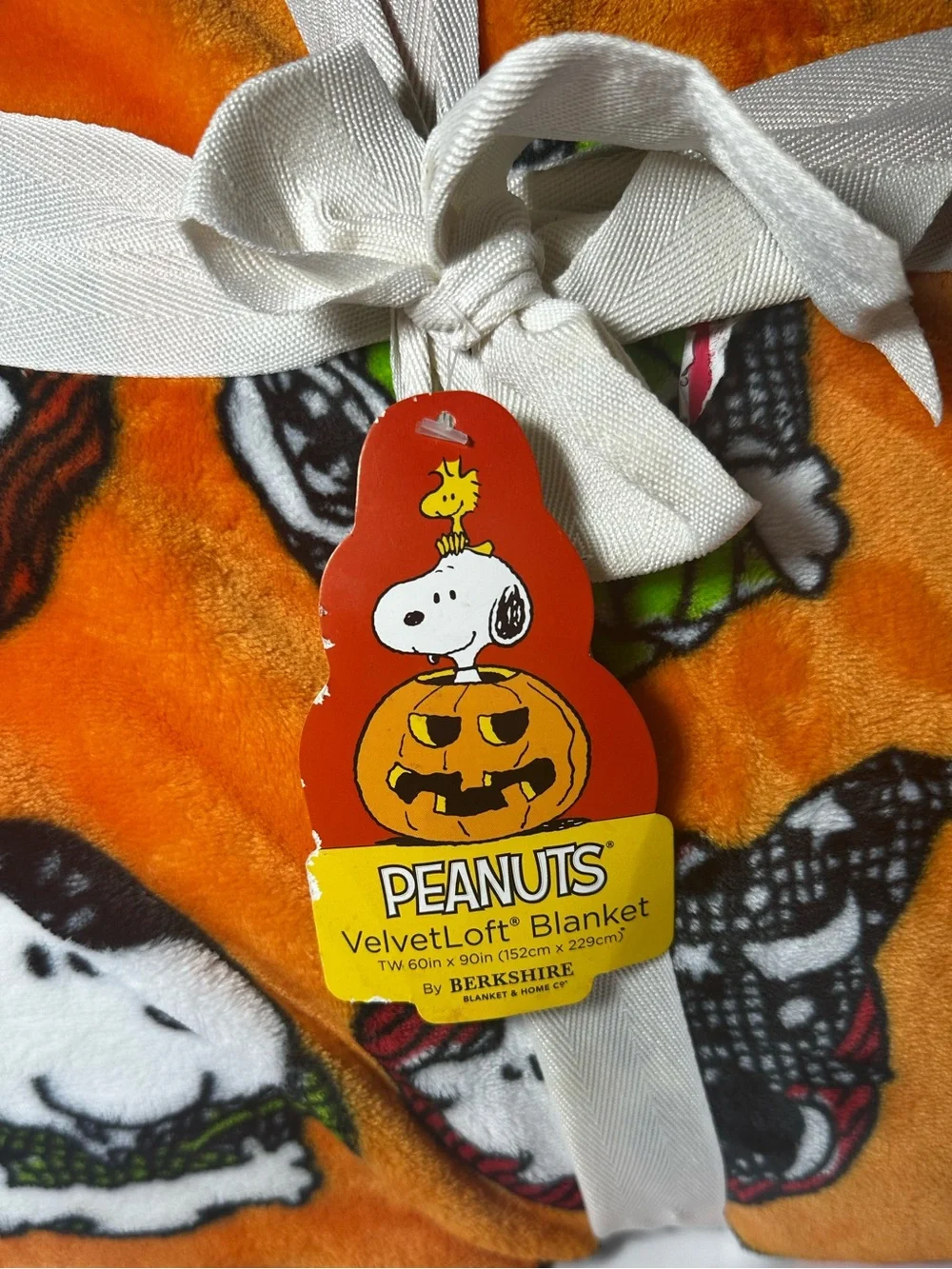 Peanuts Snoopy VelvetLoft Berkshire Twin Blanket Halloween Spooky NWT